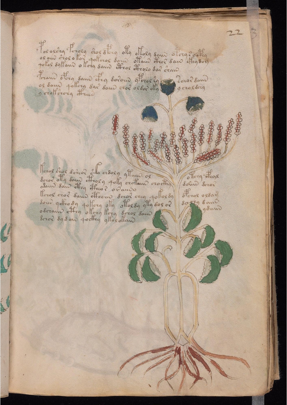 Original manuscript of Folio 22r
